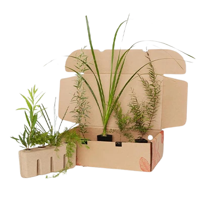 Custom Printed Plant Boxes