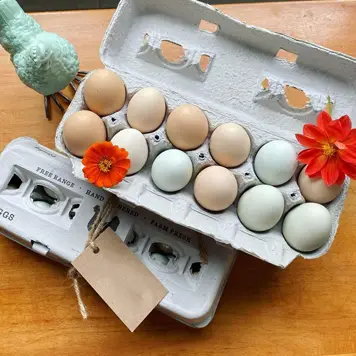 personalized egg cartons