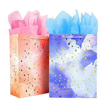 Custom Paper gift bags