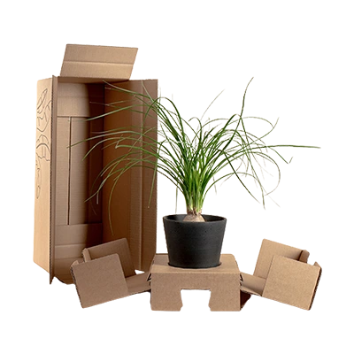 Custom Plant Packaging Boxes