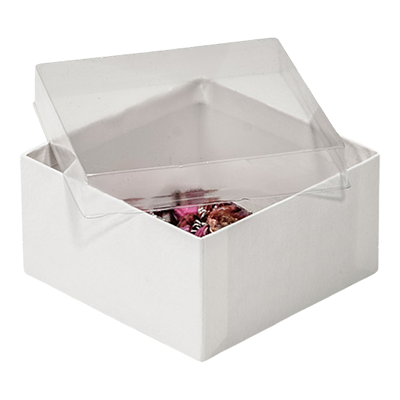 gift boxes with clear lids