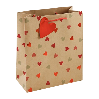 Paper gift bags