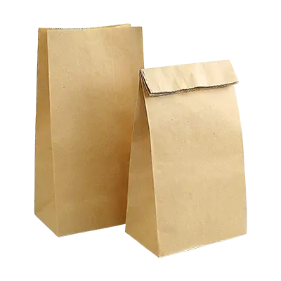 paper lunch bags