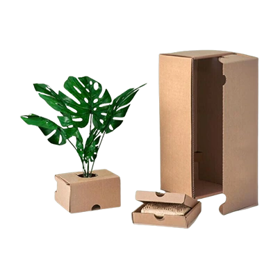 Plant Packaging Boxes Bulk