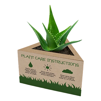 Plant Packaging Boxes Wholesale