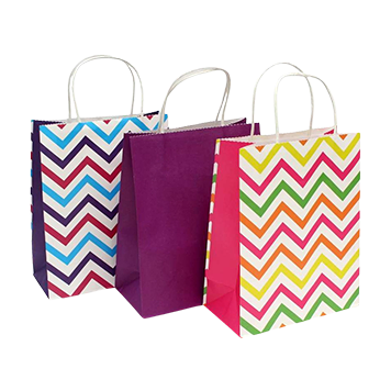 Printed Paper Shopping Bags